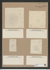 Stephanopyxis turris var. brevispina Grun. (de-Toni-Nr.: Genus 187, Species 4624) Zeichnungen Sammlung Grunow Nr. 8245 (NHMW-BOT-W0377639)